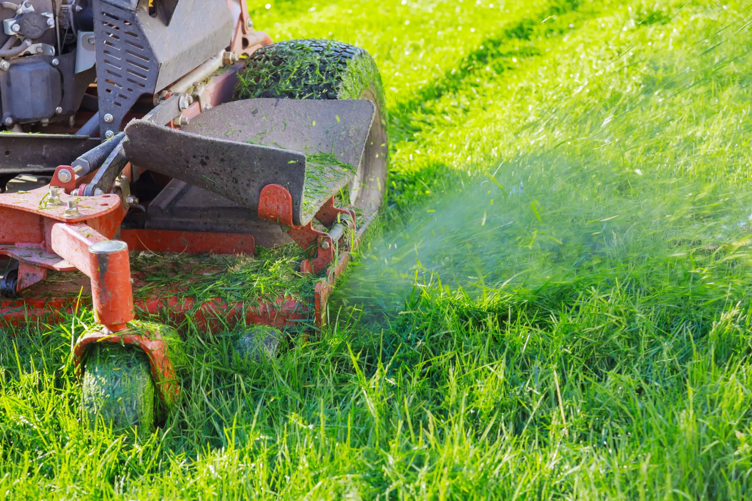 A mower deck cutting through lush green grass on a sunny day